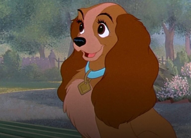 20240725_233455000_iOS