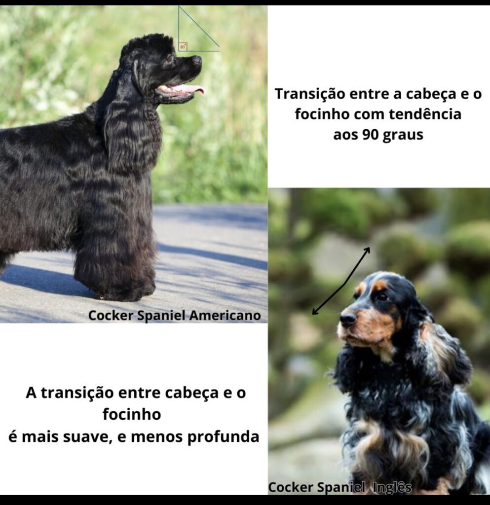 20240726_194335000_iOS