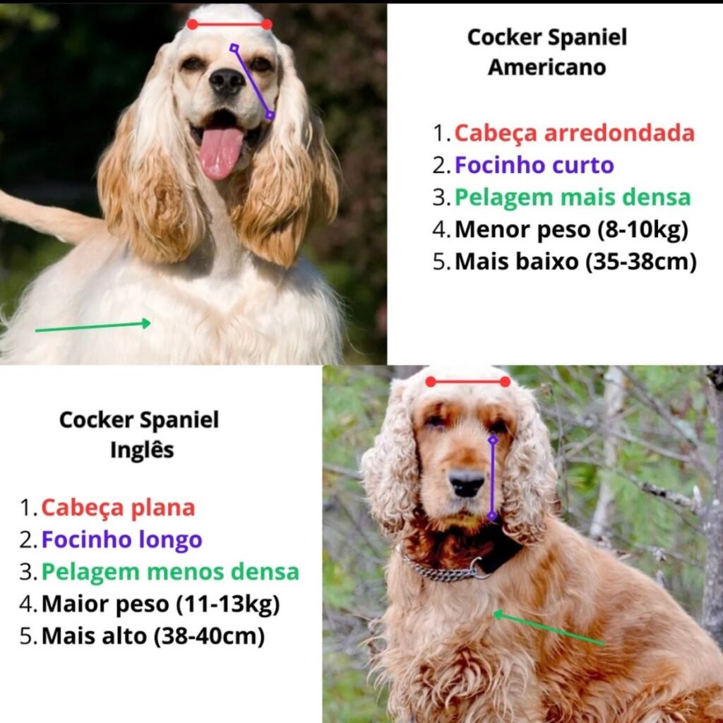 20240726_194355000_iOS