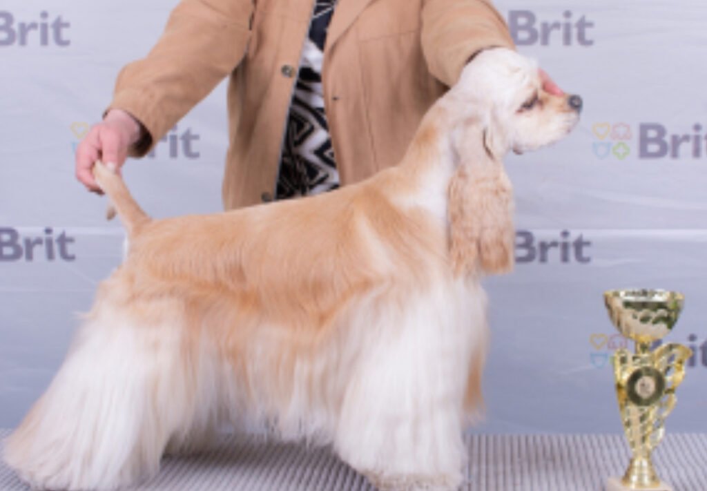 20240730_150018000_iOS