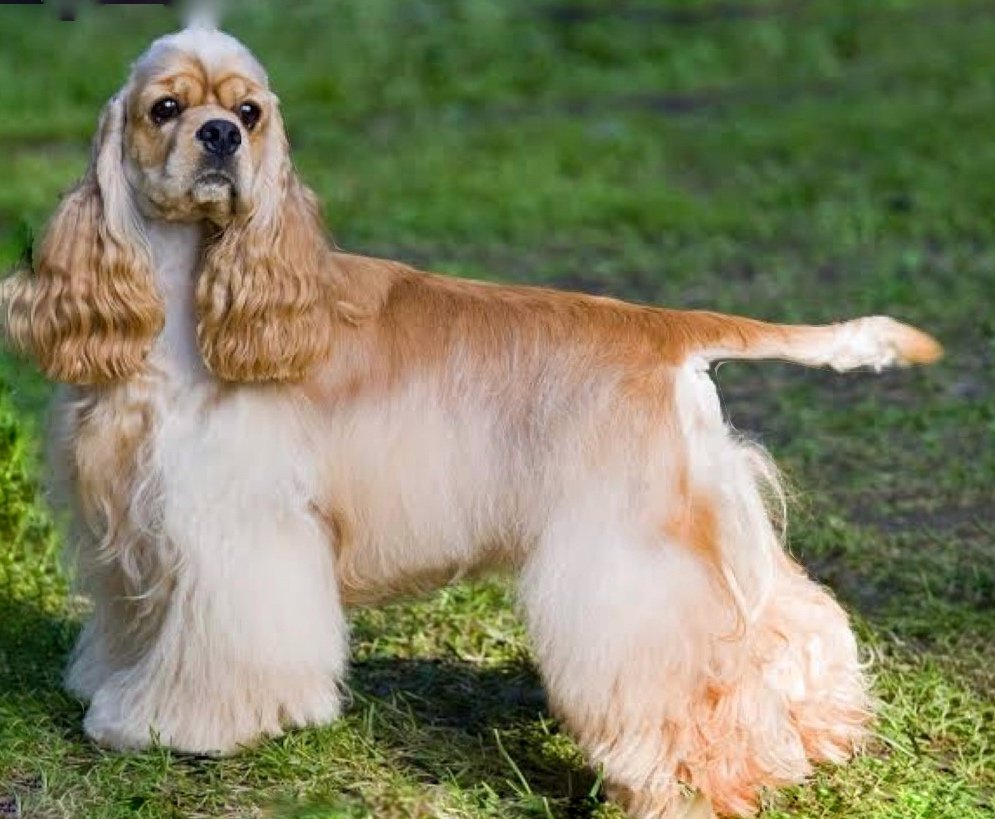 20240730_150623532_iOS