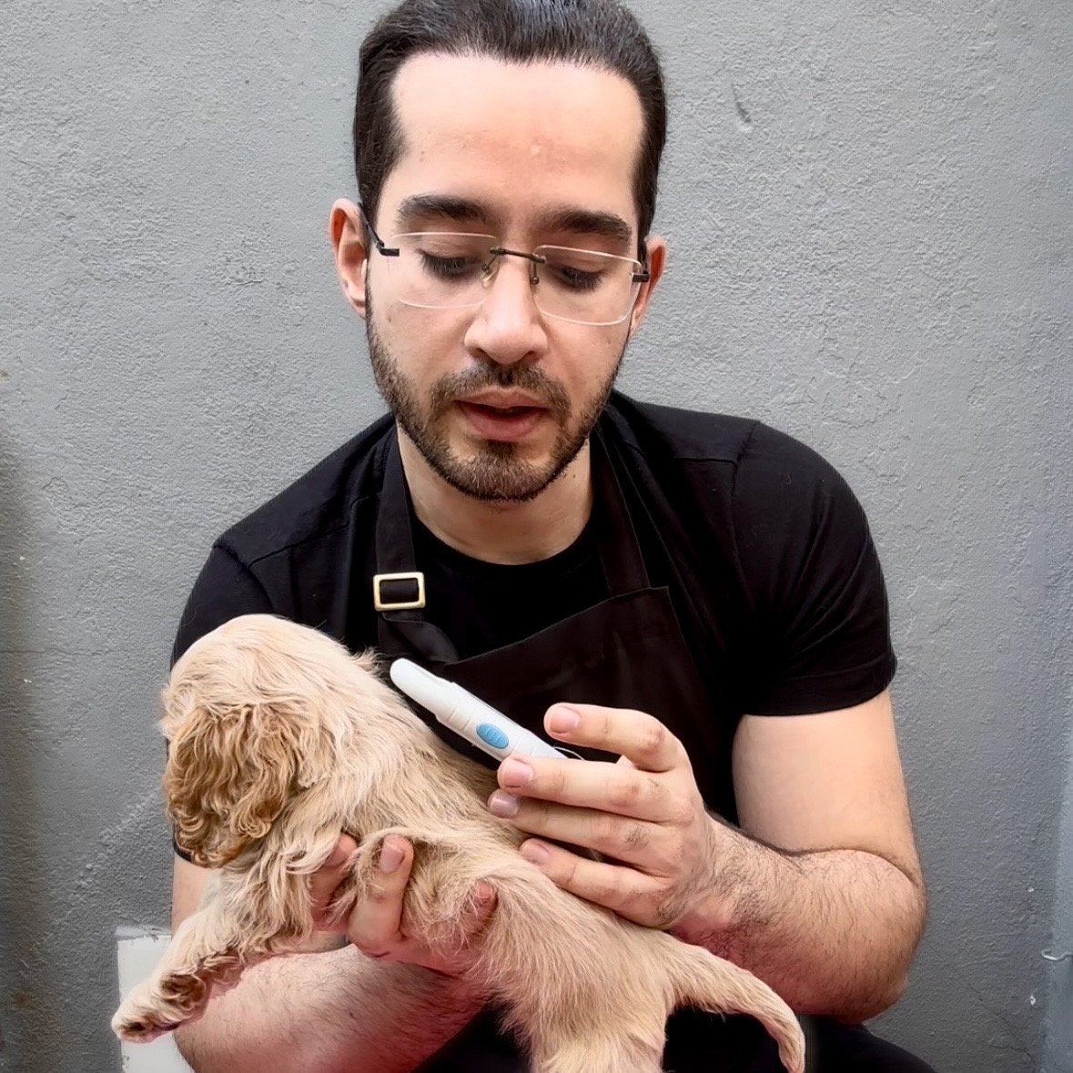 Read more about the article Você sabe como é feita a leitura de microchip para cães e sua utilidade?