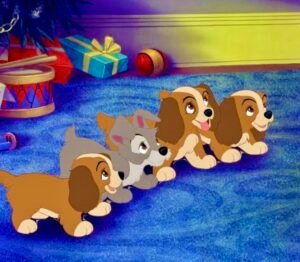 Read more about the article Quais os cuidados principais para a chegada de um bebê/filhote da raça Cocker Spaniel Americano no seu novo lar?