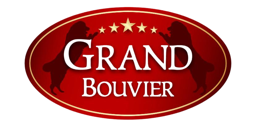 canil-especializado-e-criador-de-boiadeiro-bernese-montaind-dog-bernese